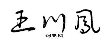 曾庆福王川凤草书个性签名怎么写