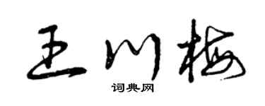 曾庆福王川梅草书个性签名怎么写