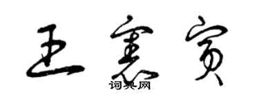 曾庆福王宪宾草书个性签名怎么写