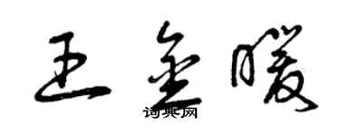 曾庆福王金暖草书个性签名怎么写
