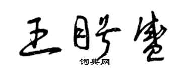 曾庆福王盼盛草书个性签名怎么写