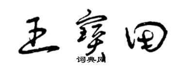 曾庆福王宝田草书个性签名怎么写