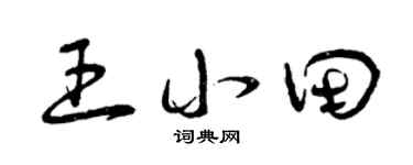 曾庆福王小田草书个性签名怎么写