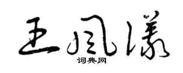 曾庆福王风仪草书个性签名怎么写