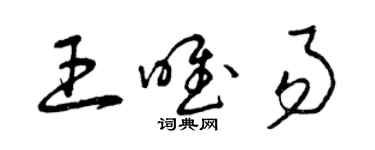 曾庆福王唯易草书个性签名怎么写