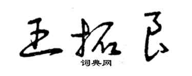 曾庆福王拓良草书个性签名怎么写