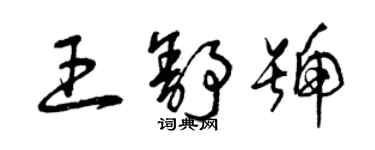 曾庆福王舒号草书个性签名怎么写