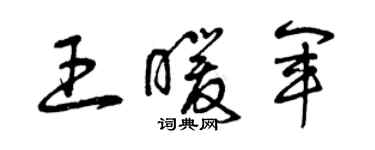 曾庆福王暖军草书个性签名怎么写