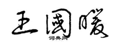 曾庆福王国暖草书个性签名怎么写