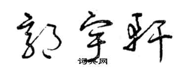 曾庆福郭宇轩草书个性签名怎么写