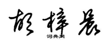 朱锡荣胡梓晨草书个性签名怎么写