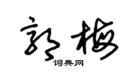 朱锡荣郭梅草书个性签名怎么写