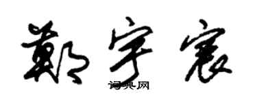 朱锡荣郑宇宸草书个性签名怎么写