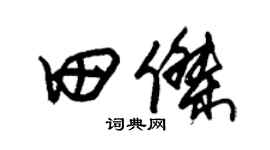 朱锡荣田杰草书个性签名怎么写