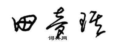 朱锡荣田梦琪草书个性签名怎么写