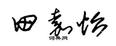 朱锡荣田嘉怡草书个性签名怎么写