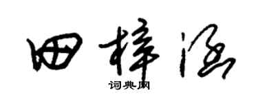 朱锡荣田梓涵草书个性签名怎么写