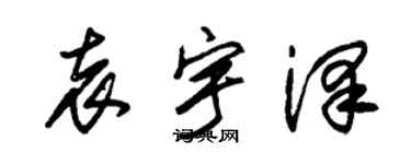 朱锡荣袁宇泽草书个性签名怎么写