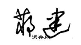 朱锡荣蒋建草书个性签名怎么写