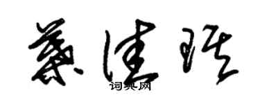 朱锡荣叶佳琪草书个性签名怎么写