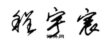 朱锡荣程宇宸草书个性签名怎么写