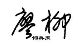 朱锡荣廖柳草书个性签名怎么写