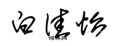 朱锡荣白佳怡草书个性签名怎么写