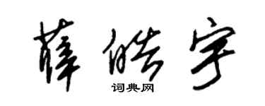 朱锡荣薛皓宇草书个性签名怎么写