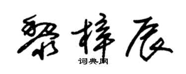 朱锡荣黎梓辰草书个性签名怎么写