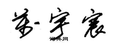 朱锡荣万宇宸草书个性签名怎么写