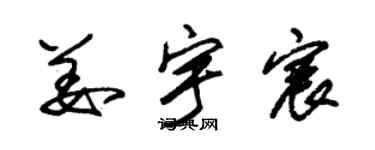 朱锡荣姜宇宸草书个性签名怎么写