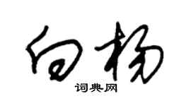 朱锡荣向杨草书个性签名怎么写