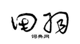 曾庆福田羽草书个性签名怎么写