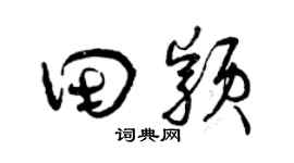 曾庆福田颖草书个性签名怎么写