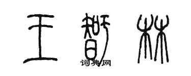 陈墨王智林篆书个性签名怎么写