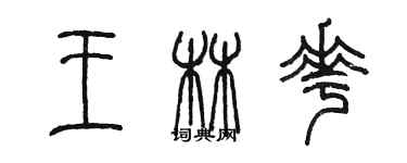 陈墨王林花篆书个性签名怎么写