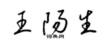 梁锦英王阳生草书个性签名怎么写