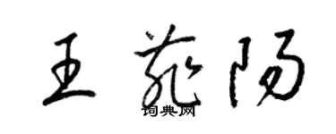 梁锦英王菲阳草书个性签名怎么写