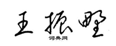 梁锦英王振野草书个性签名怎么写