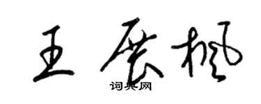 梁锦英王展枫草书个性签名怎么写