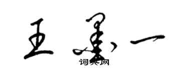 梁锦英王墨一草书个性签名怎么写