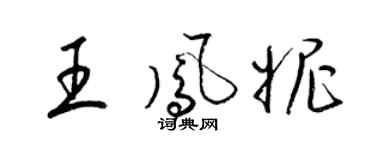 梁锦英王凤妮草书个性签名怎么写