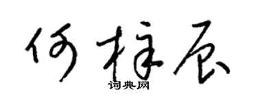 梁锦英何梓辰草书个性签名怎么写