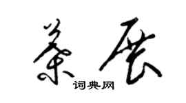 梁锦英叶展草书个性签名怎么写