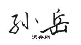 骆恒光孙岳行书个性签名怎么写