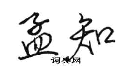 骆恒光孟知行书个性签名怎么写