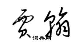 梁锦英贾翰草书个性签名怎么写