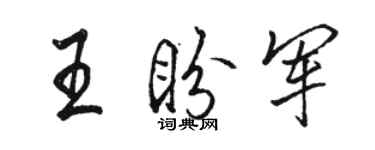 骆恒光王盼军行书个性签名怎么写