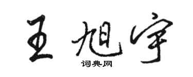 骆恒光王旭宇行书个性签名怎么写