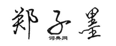 骆恒光郑子墨行书个性签名怎么写